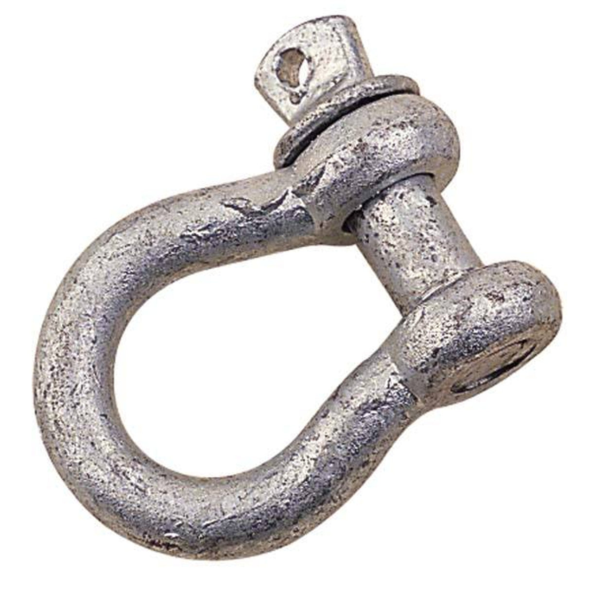 Anchor Shackle Galvanized